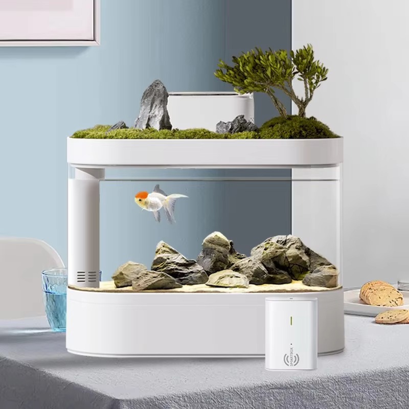 데스크탑 스마트 어항 자동 먹이 공급기 및 LED 조명 - Aquarium Fish Feeder Automatic 리뷰 및 가격