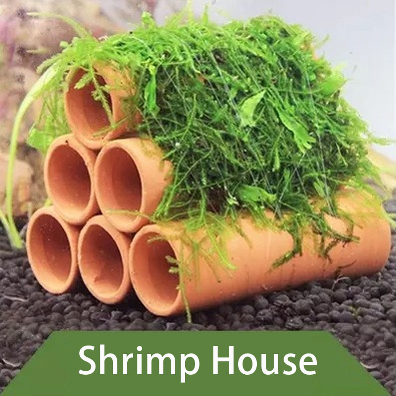 점토 수족관 장식 물고기 새우 놀이 숨어있는 동굴 대피 - Aquarium Fish Hideout 리뷰 및 가격