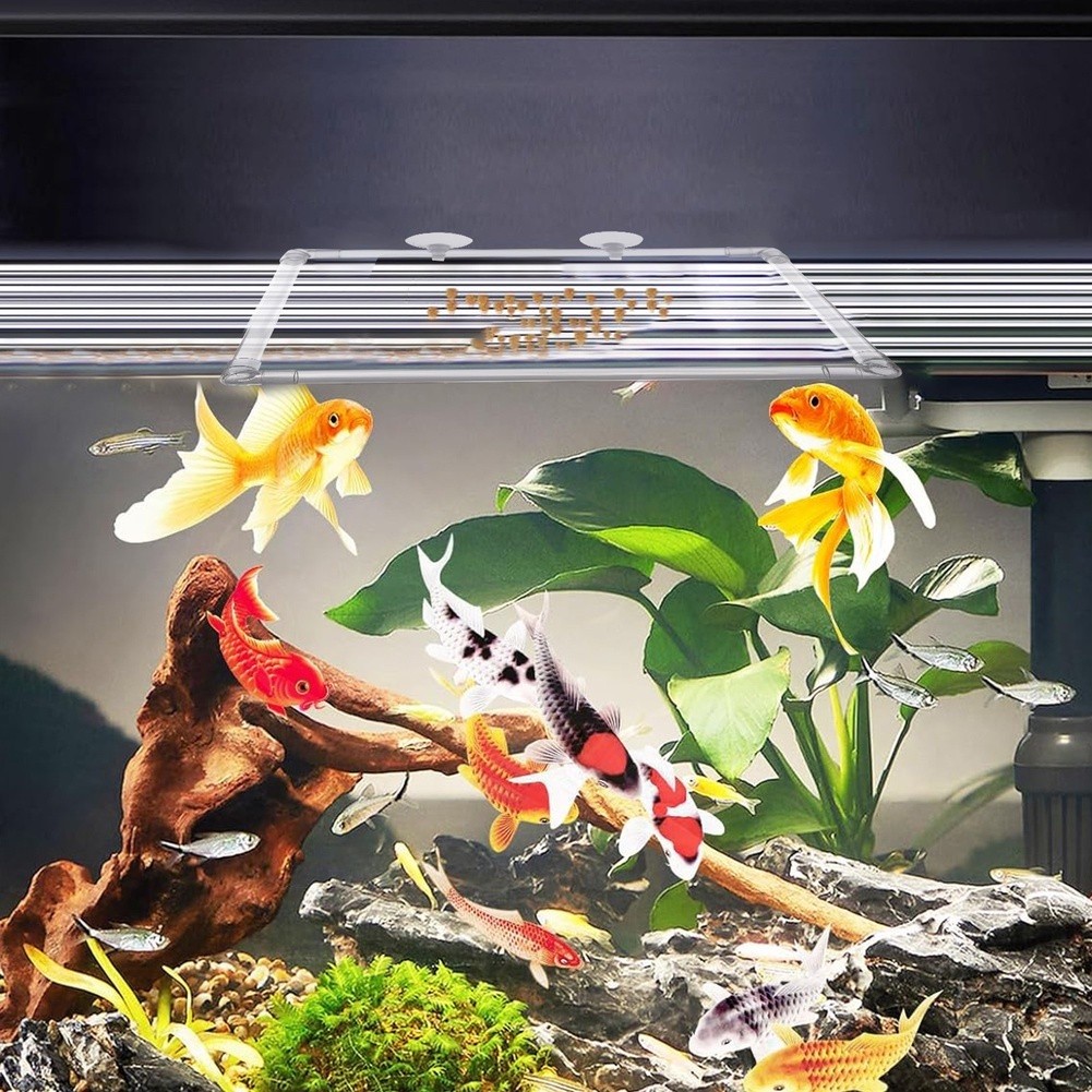 아크릴 어항 및 야외 연못용 수족관 부유식물 울타리,  - Aquarium Fish Zone 리뷰 및 가격