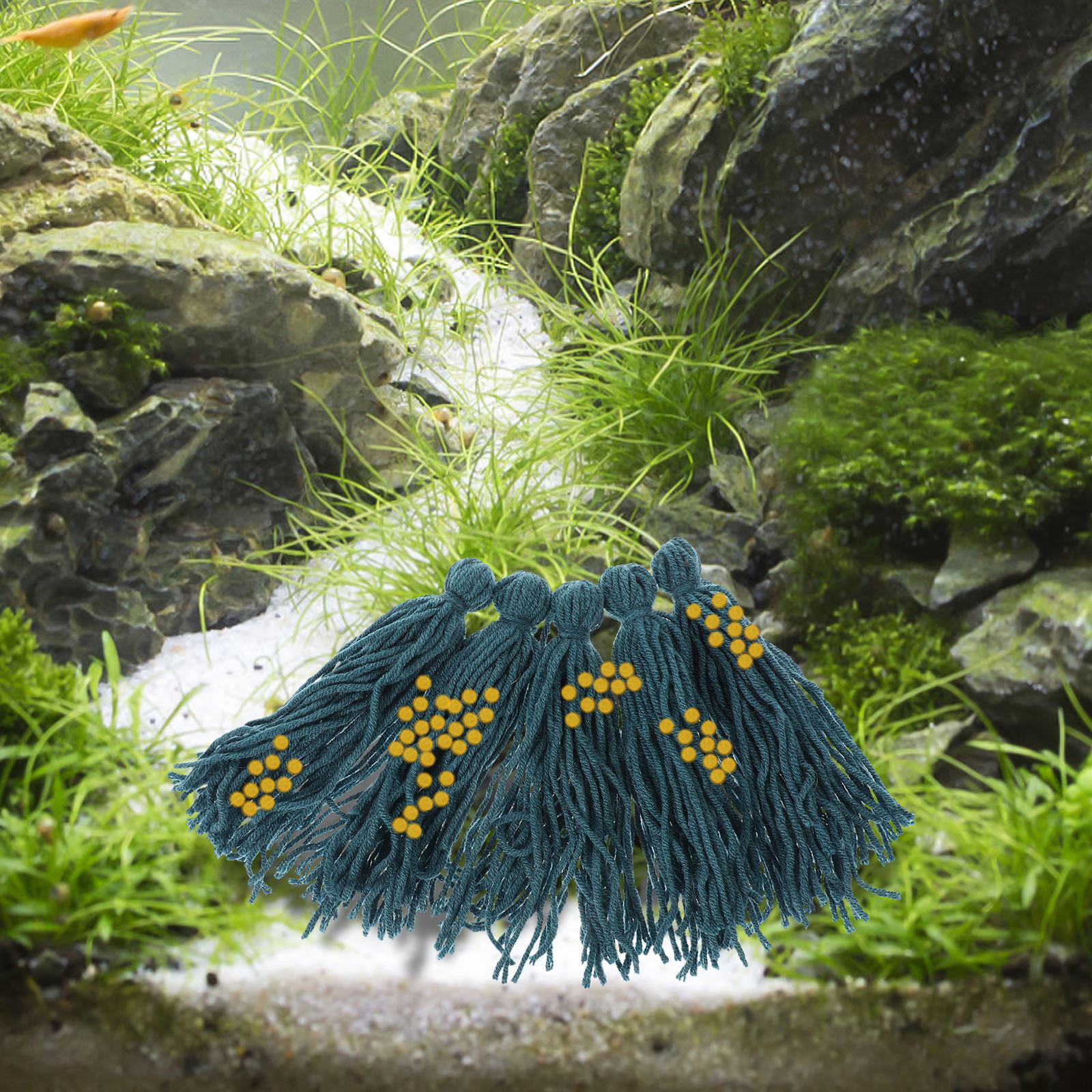 부화장, 물고기 수족관 양동이 장식 원사, 수족관 은신 - Aquarium Fish Hideout 리뷰 및 가격