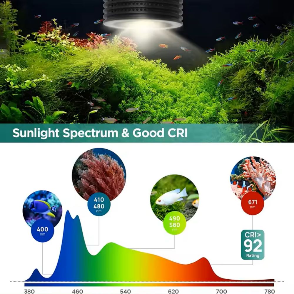Lominie Asta 20 민물 18W RGBW+UV - Refugium Light Nano 리뷰 및 가격
