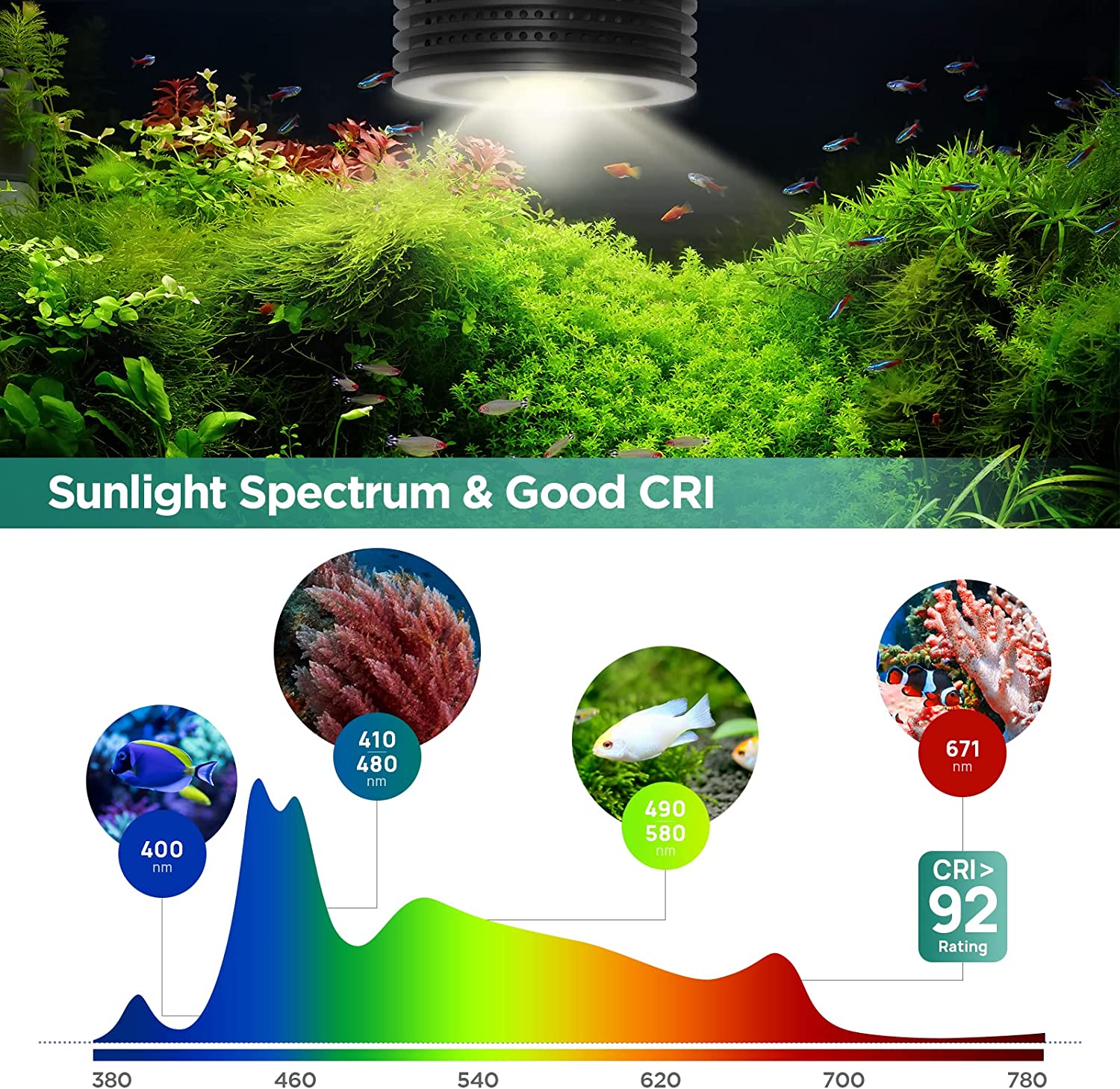 Lominie Asta 20 민물 18W RGBW+UV - Refugium Light Nano 리뷰 및 가격