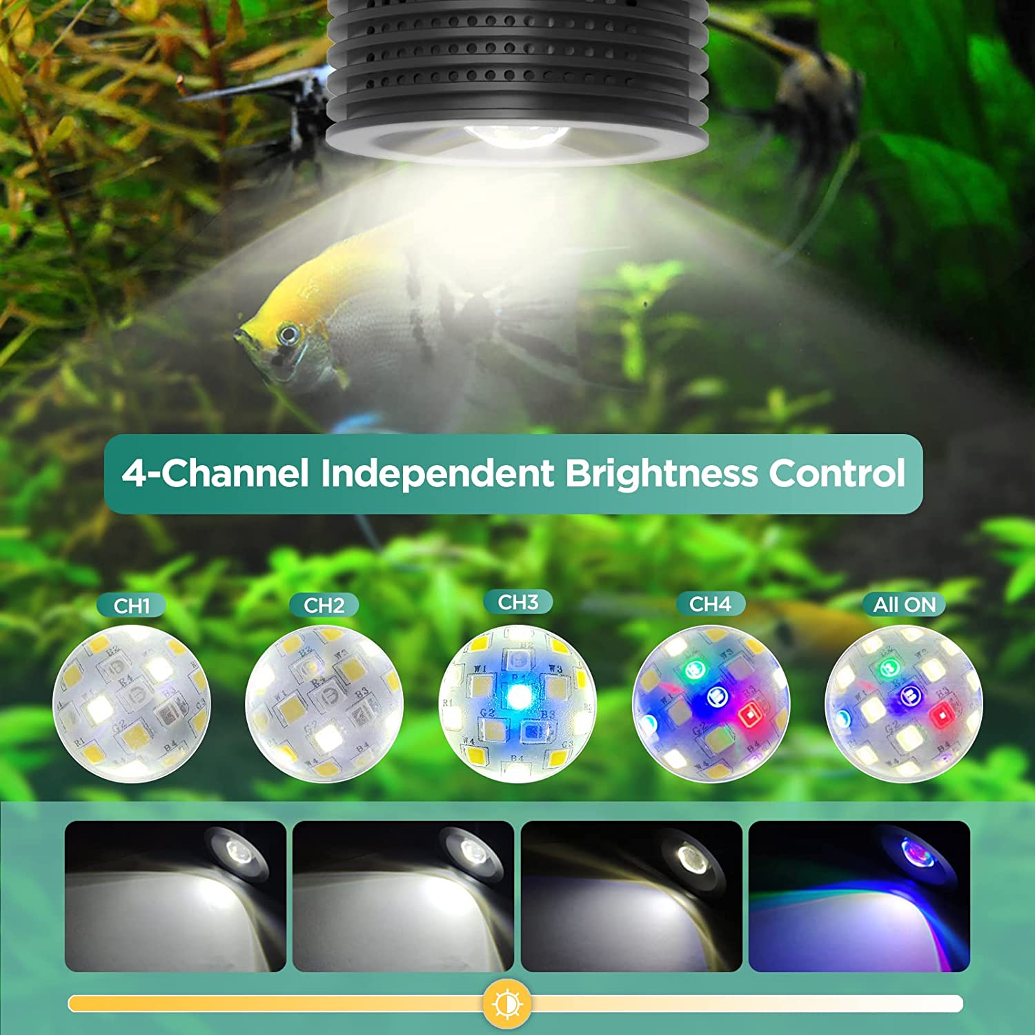 Lominie Asta 20 민물 18W RGBW+UV - Refugium Light Nano 리뷰 및 가격