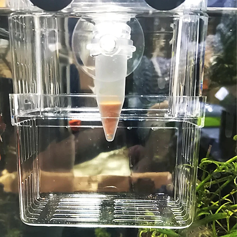 자동 물고기 먹이 공급기 콘 새우 알 벌레 투입컵 먹이 - Aquarium Fish Feeder Automatic 리뷰 및 가격