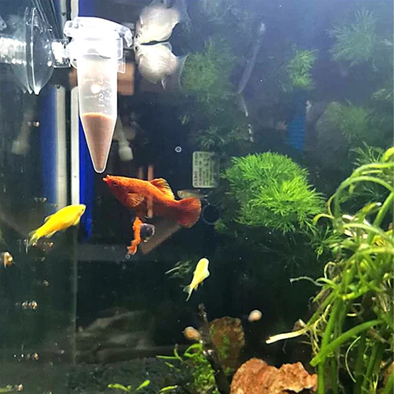 자동 물고기 먹이 공급기 콘 새우 알 벌레 투입컵 먹이 - Aquarium Fish Feeder Automatic 리뷰 및 가격